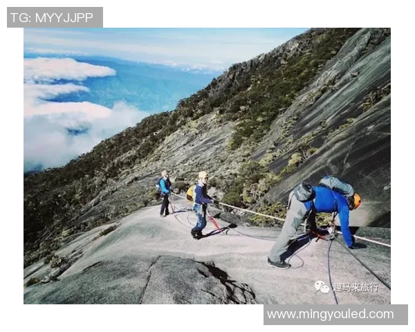 武汉极限运动队的意识与挑战探讨：极限运动的精神与文化分析实时数据