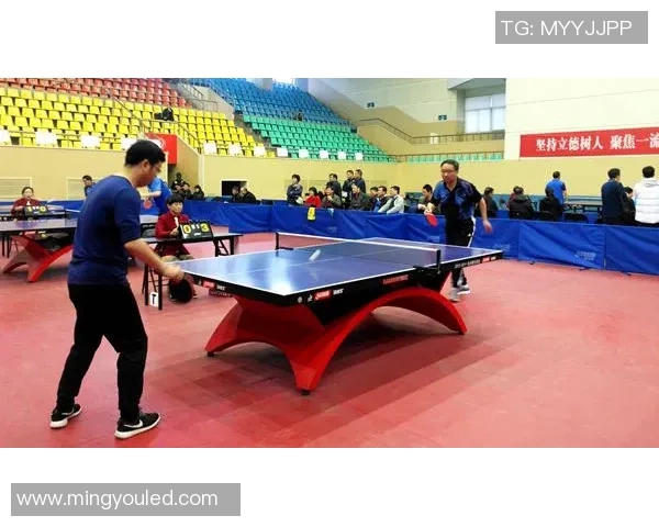 实时新闻乒乓球的魅力与精神深入了解杭州乒乓球队的训练与文化